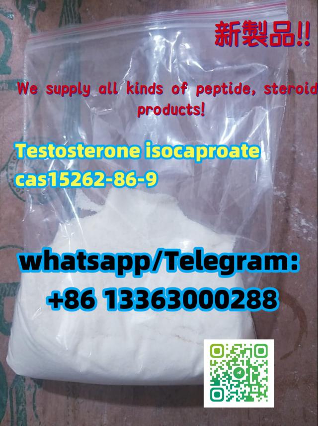 Testosterone isocaproate cas15262-86-9