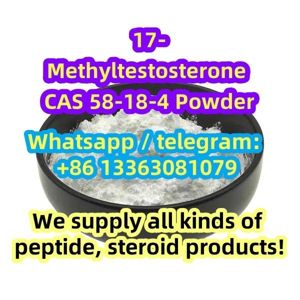 17a-methyltestosterone cas 72-63-9