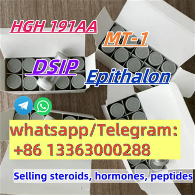 High quality selank cas 129954-34-3