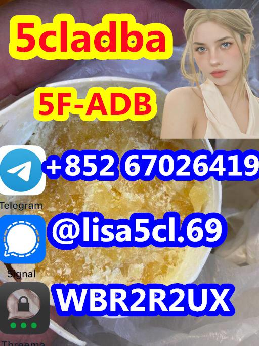 5CLADBA 5CL-ADB-A Powder 5cladb 5cladb Raw 99% purity