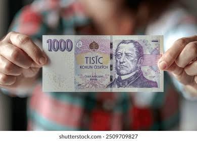 Rychlá půjčka a záruka