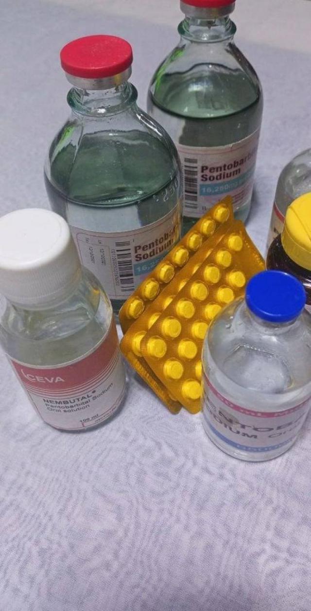 Hypnogen, Stilnox, Zolpidem, Zolpinox, Ritalin, Adipex, Rohypnol