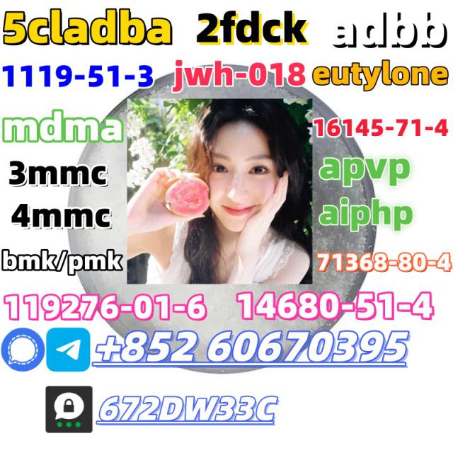 China factory supply Bmk and Pmk low price