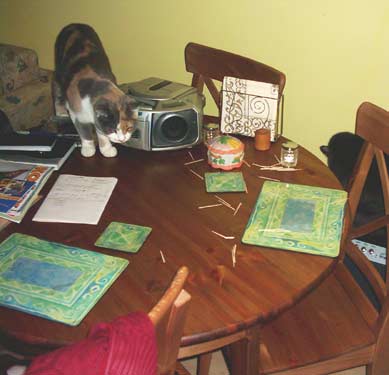 Kitty: Zátiší s párátky