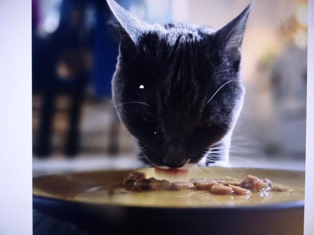 Nugget : m�am, dneska m�m kapsi�ku s ku��tkem.