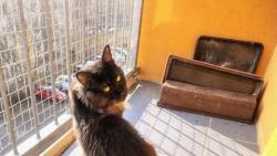 To je dost, �es n�s taky pustila ven!