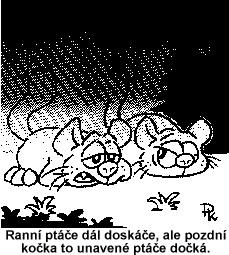 Jak těžká jsou Miouší rána.