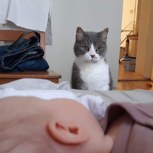 Jak jsem to měl s mládětem těžký