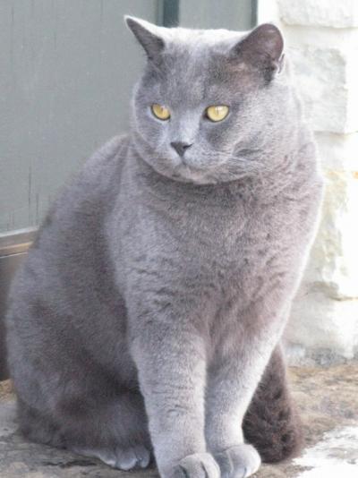 Mijánek: 