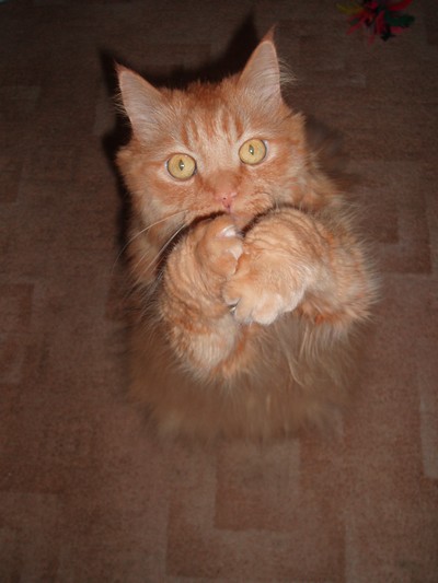 Jack: Prosím si dobrůtku.