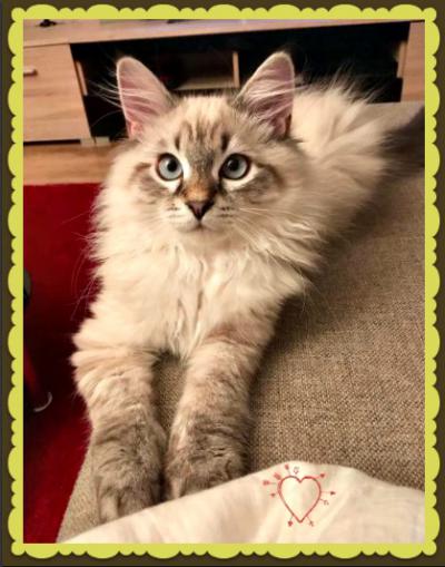 Dolce : Pózovaní je jeho :)