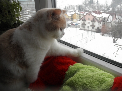 Bobeš (4): 