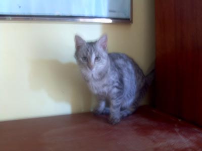 Kleopatra (2): Nefotit. PROSÍM!