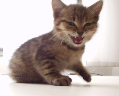 Leontína: Tak ... to som ja ... Leontína úžasná :)
