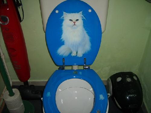 Nzev: Wc prknko s koikou II. / Vystavovatel: beta.1