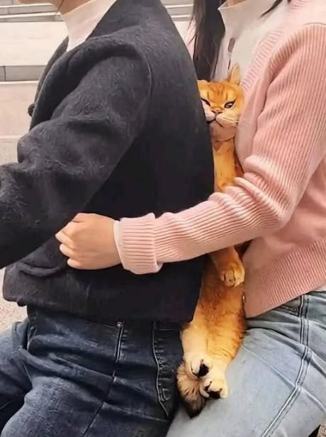 .-)
