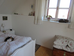 Koky jako doma - mini hotel