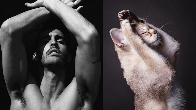 Fotočlánek: Muži versus kočky