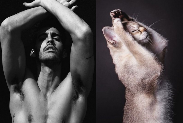 Muži versus kočky / Men vs. cats