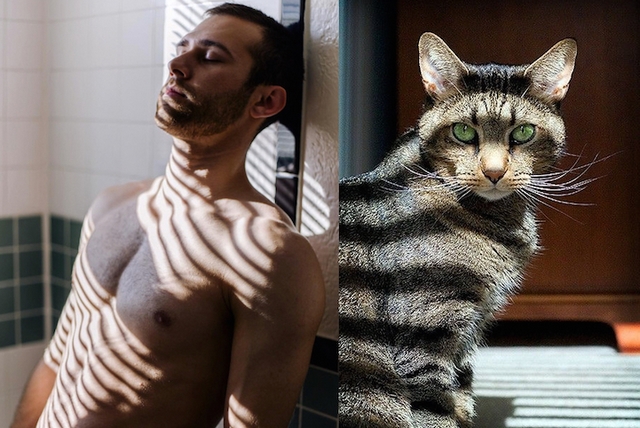 Muži versus kočky / Men vs. cats