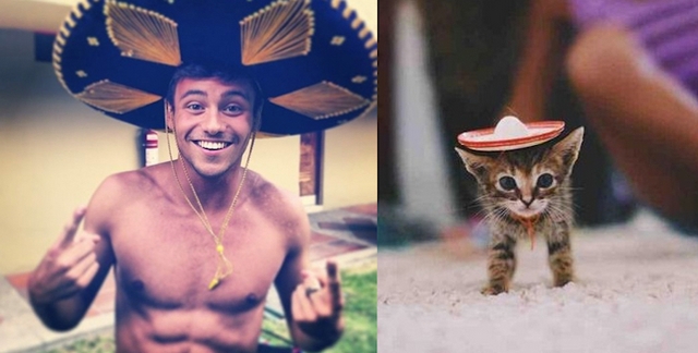 Muži versus kočky / Men vs. cats