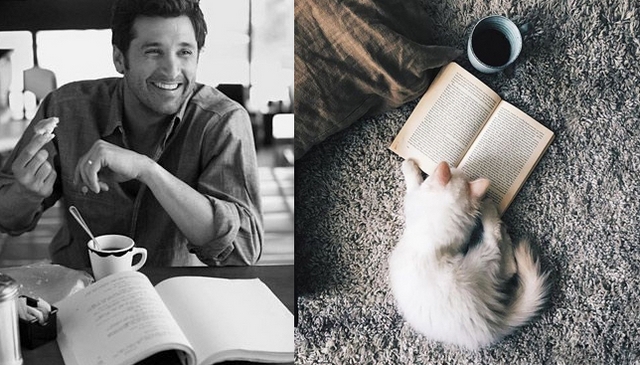 Muži versus kočky / Men vs. cats