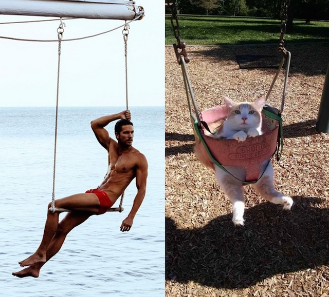 Muži versus kočky / Men vs. cats