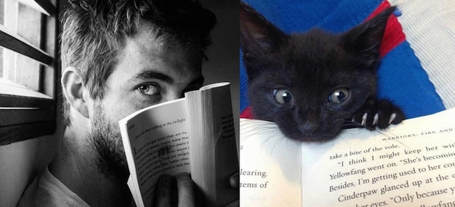 Muži versus kočky / Men vs. cats
