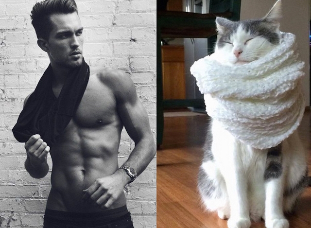 Muži versus kočky / Men vs. cats