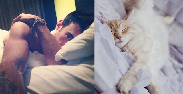Muži versus kočky / Men vs. cats