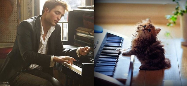Muži versus kočky / Men vs. cats