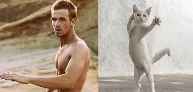 Muži versus kočky / Men vs. cats