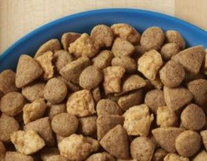 Veterinární poradna: Krmení kočky Purina One